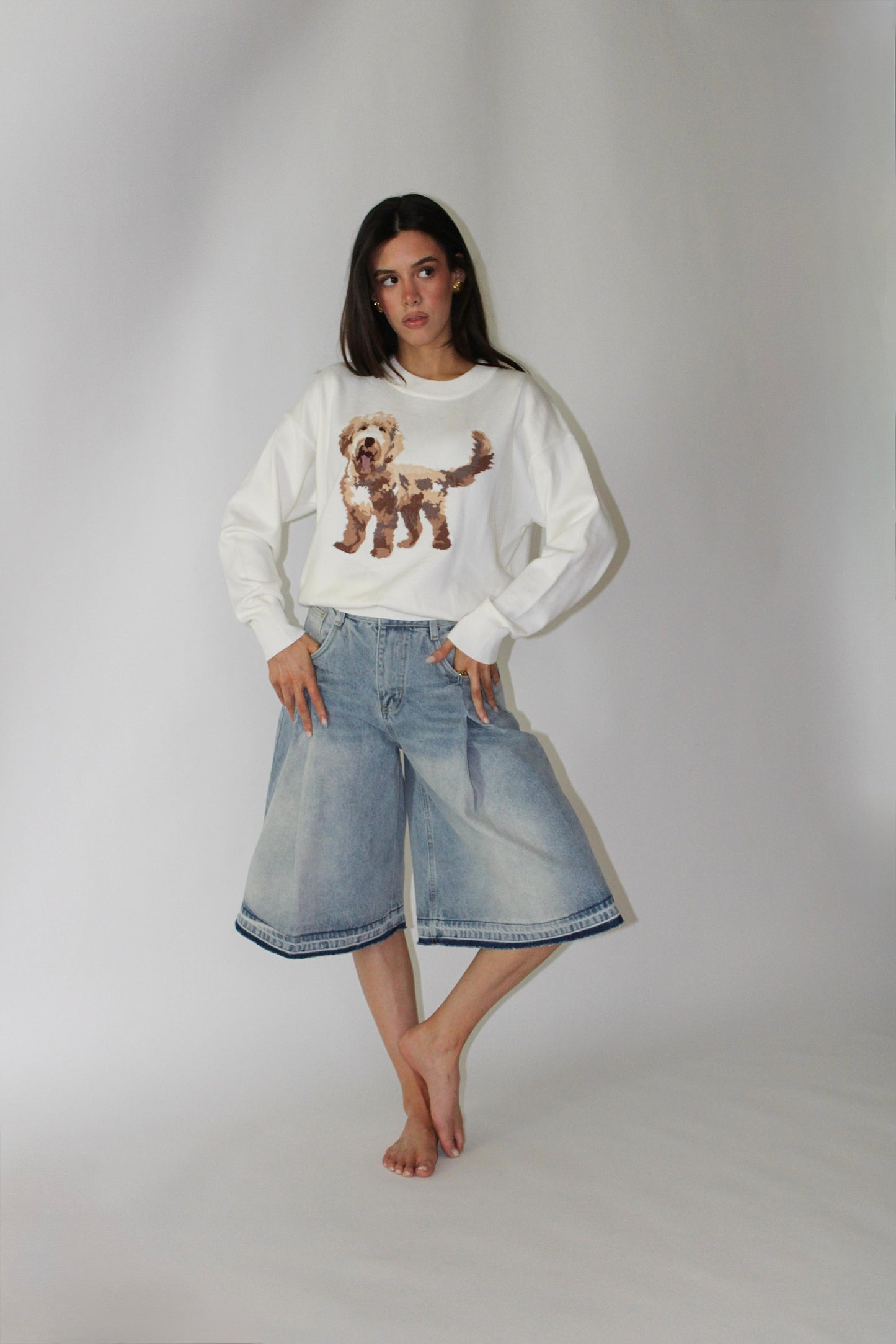 Beige Puppy Sweater