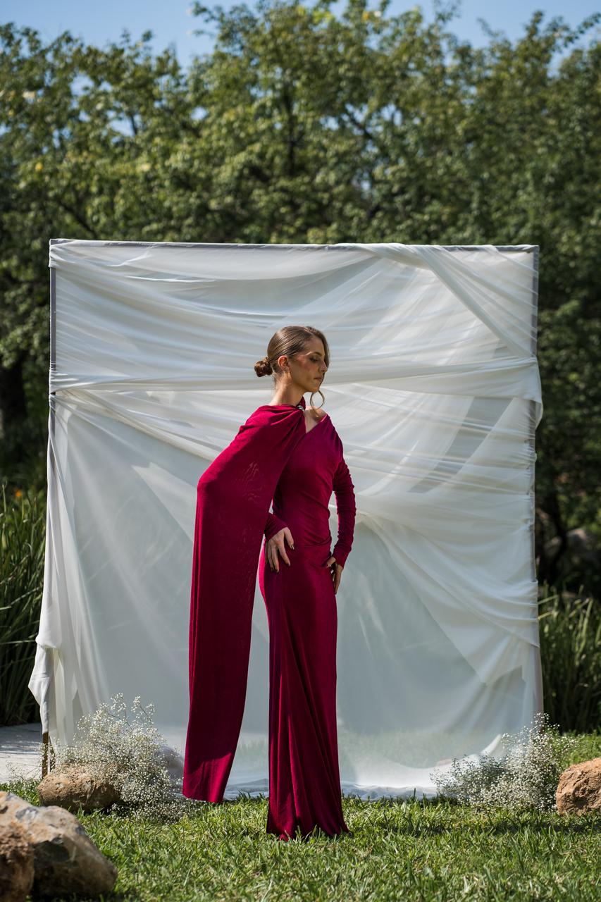 Burgundy Dress