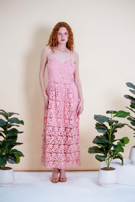 Rosé Scalloped Lace Gown