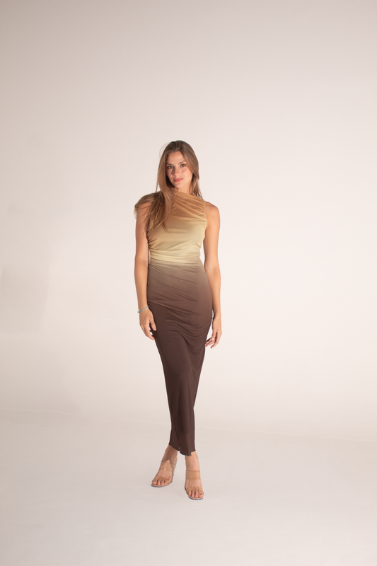 The Gradient Cowl Neck Dress