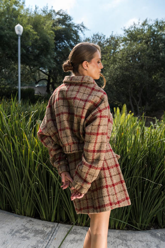 Brown Tweed Skirt With Red